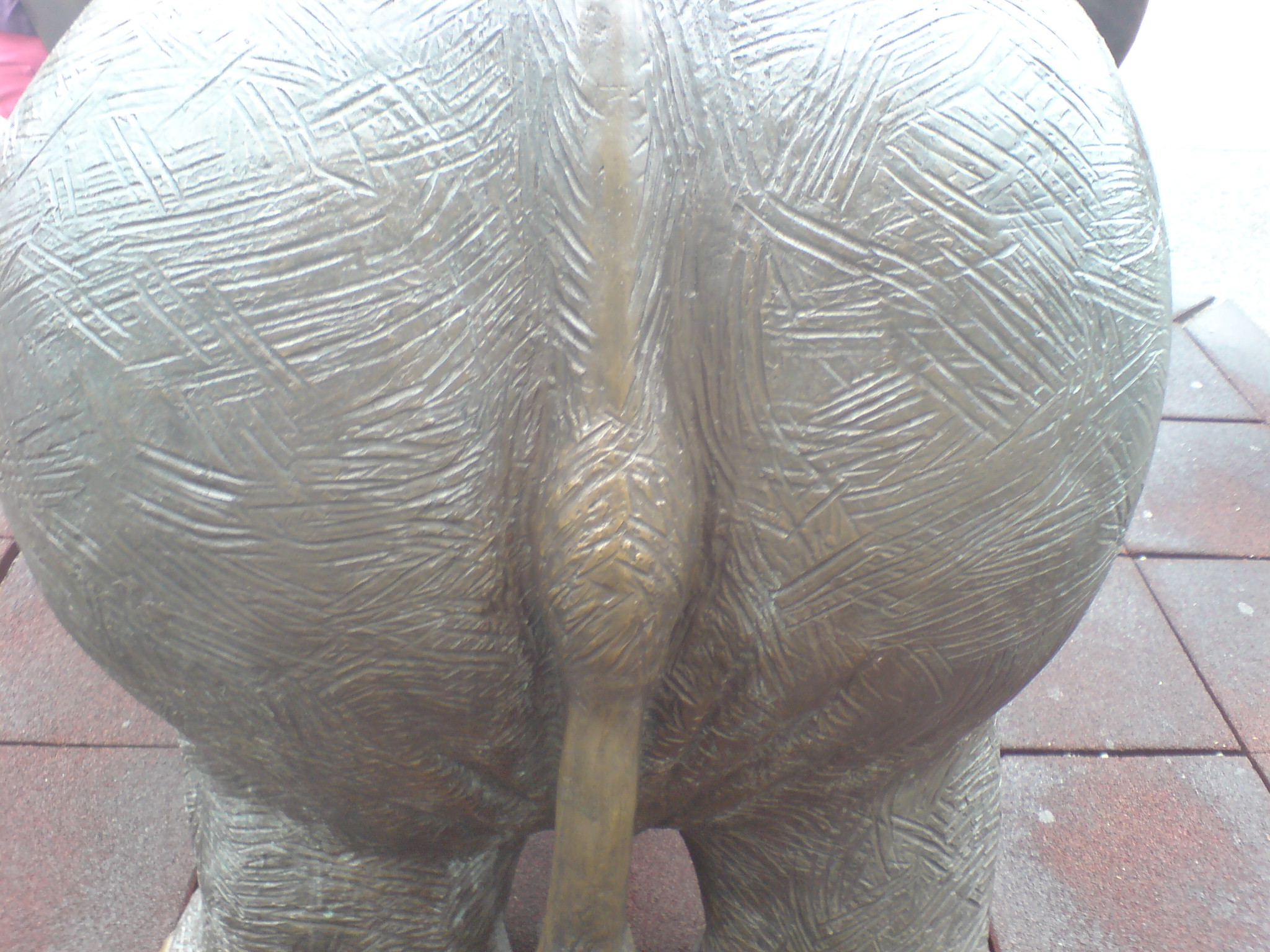 DSC01345.jpg